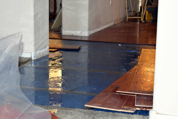Professional Flood Damage Repair technician working in Rhinelander, WI